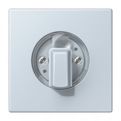 Virsma ar grozāmu slēdzi, Serie LS, outremer pale