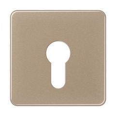 Virsma slēdzim ar atslēgu, Aluminium eloxiert, Serie CD, gold-bronze