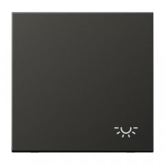 Taustiņs 1-viet, ar spuldzes simbolu, alumīnijs krāsots, Serie LS, antracīts (lakots alumīnijs)