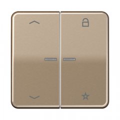 eNet taustiņš unversālais 2-viet, ar bultiņu simboliem<br />
, Aluminium eloxiert, Serie CD, gold-bronze