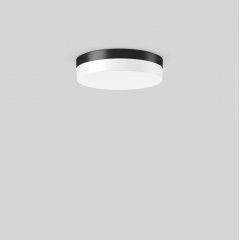 Gaismeklis FLAT SLIM round, 13...26 W, 1250...2500 lm, 830, 840, anthracite, on/off Ceiling and wall luminaires, D 300 H 75, Opal glass